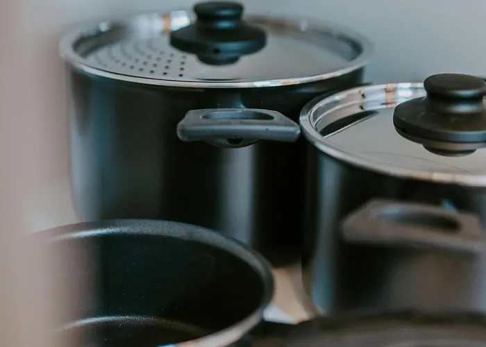 Llr Design - Botanical Im Zentrum Von Appartement Koblenz (Rhineland-Palatinate)